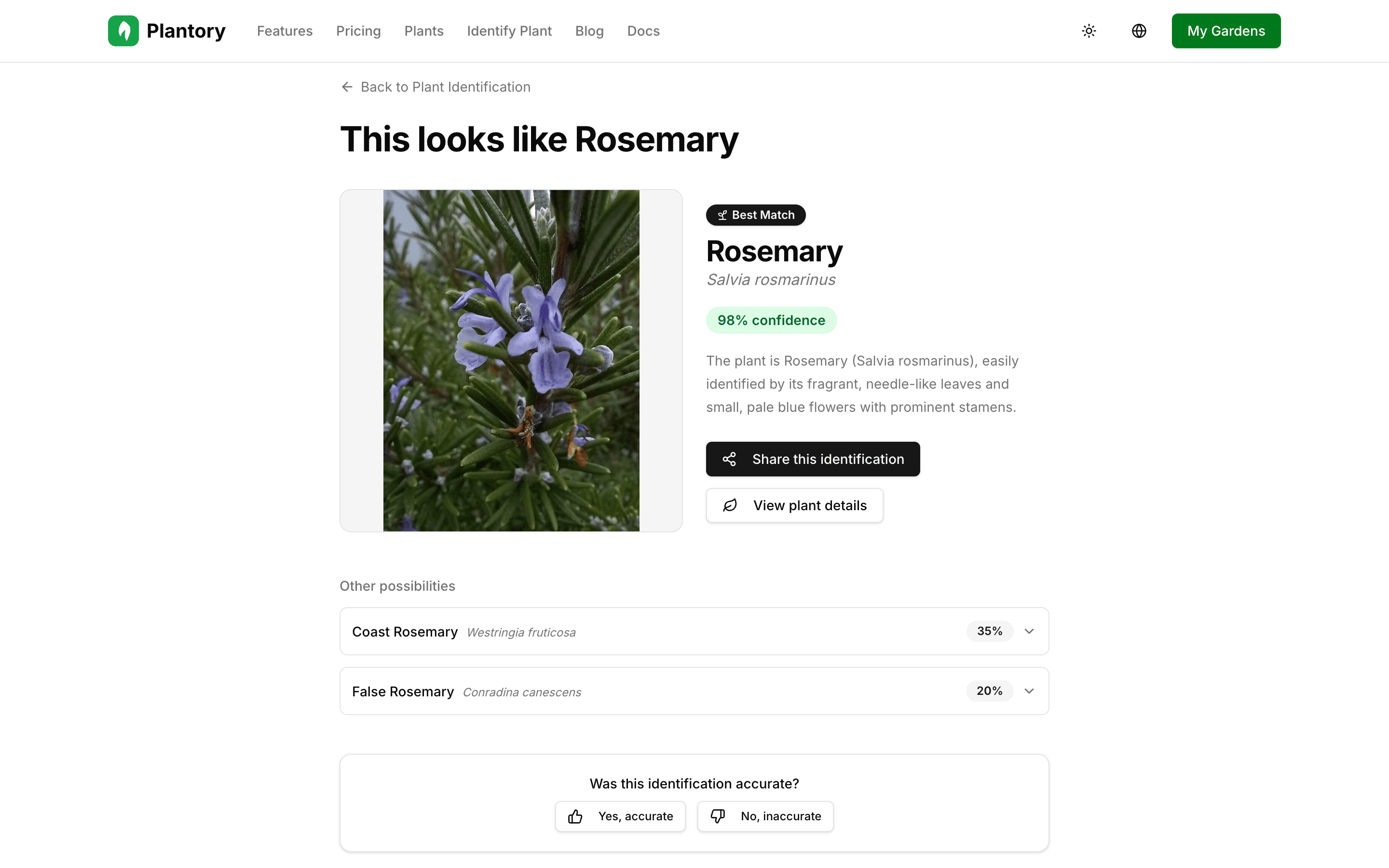 Identification result showing best match with confidence score