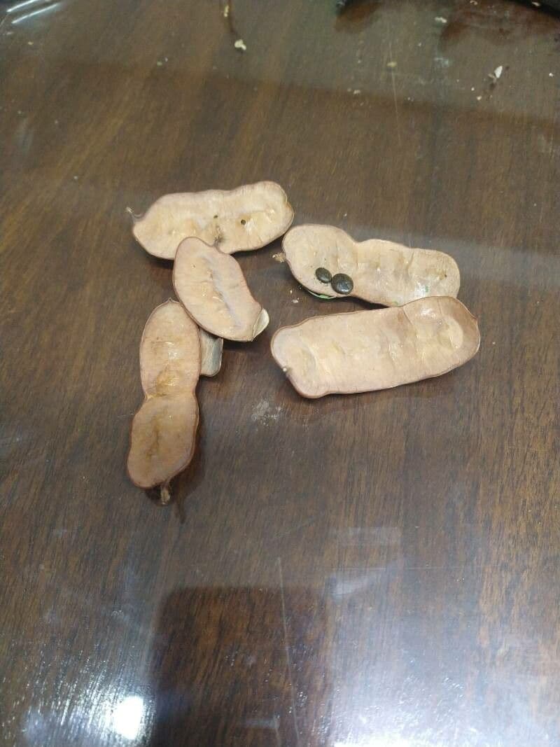 Garabato negro