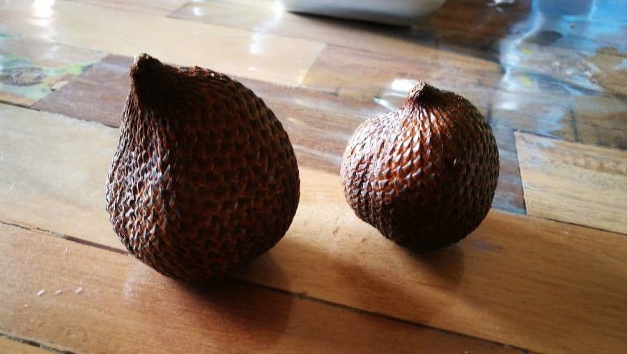 Salak 4