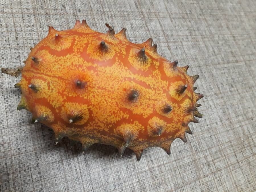 Kiwano 2
