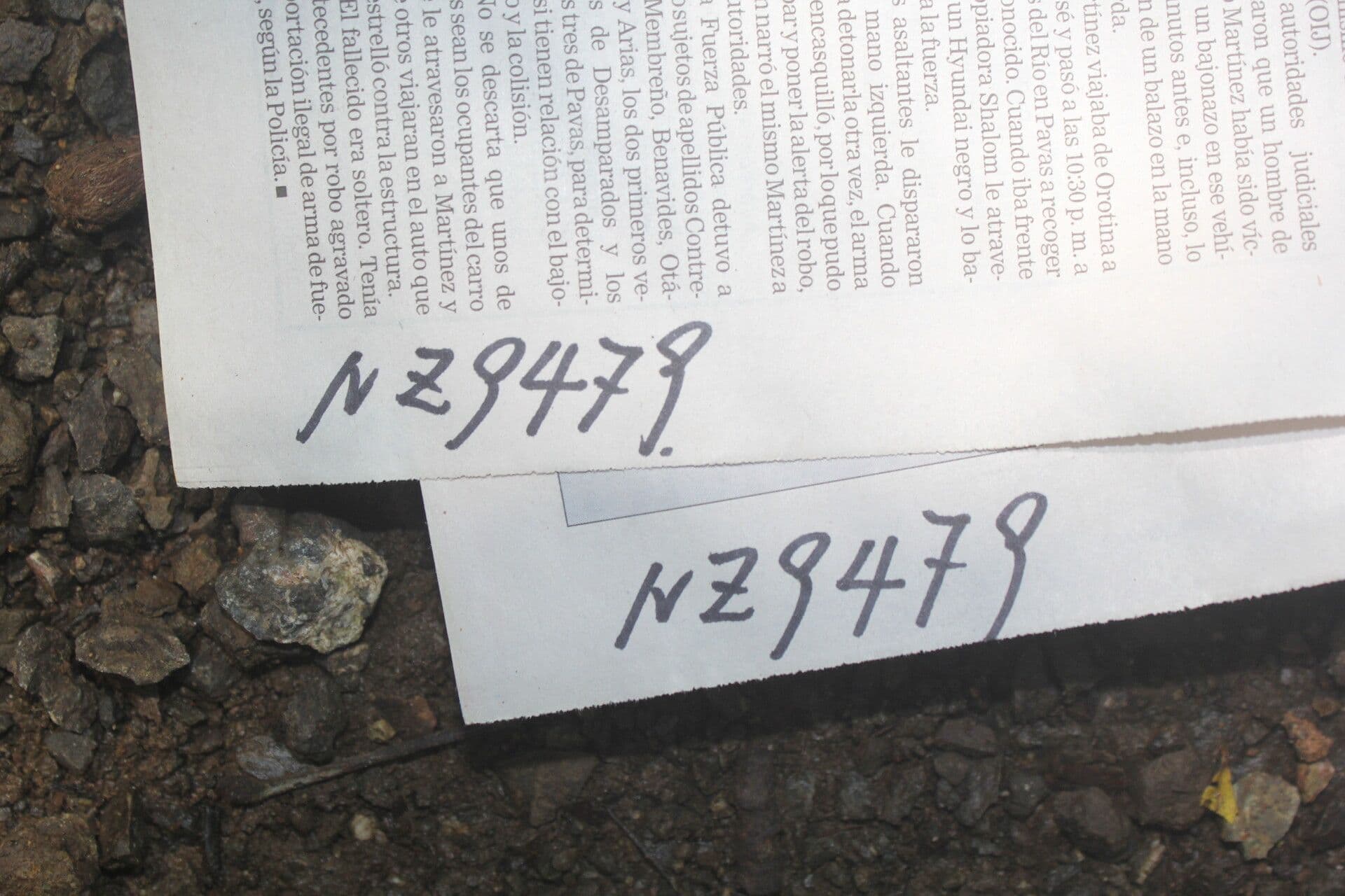 Quararibea funebris 16