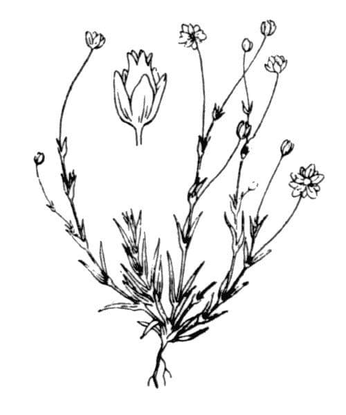 Steinnachbar 22