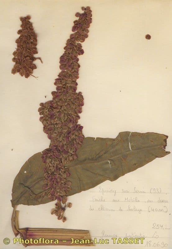 B turnaj 29