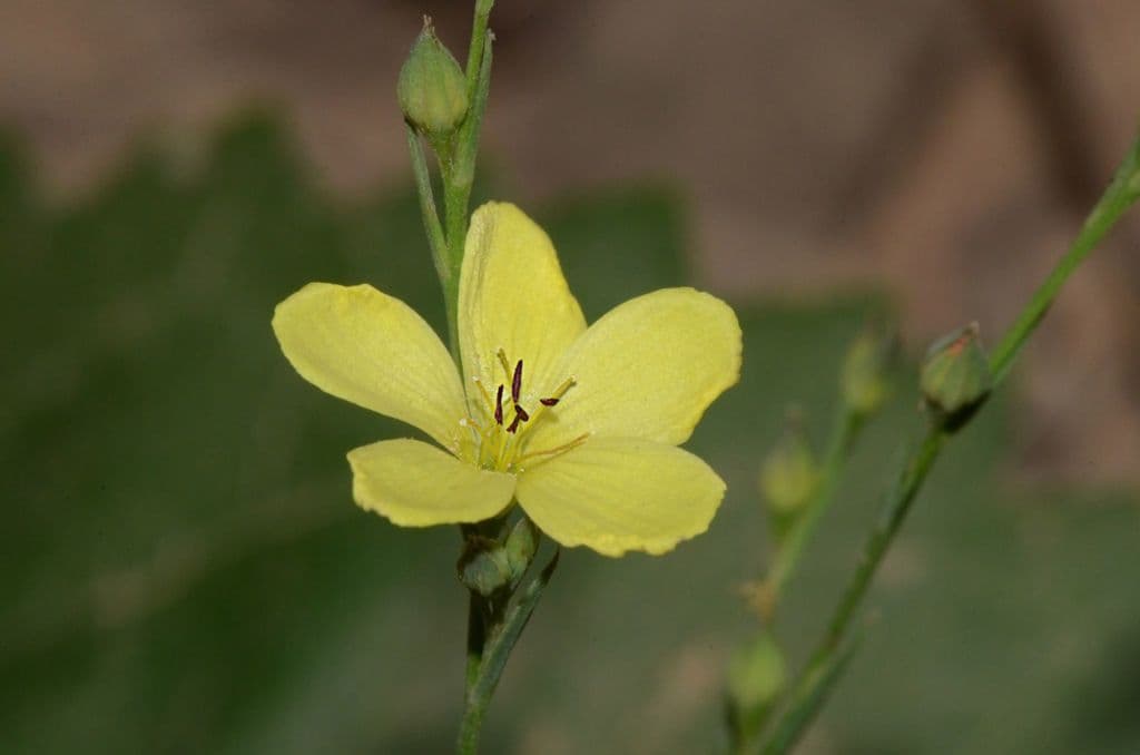 Mittlerer Lein 3