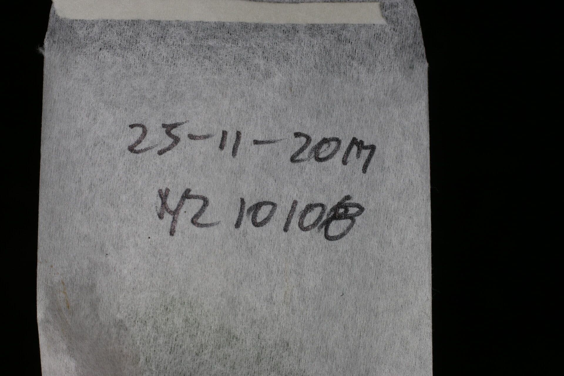 Ocotea 19