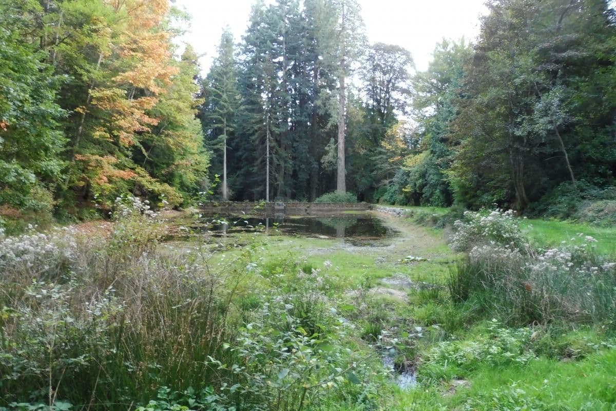 Rovo vestito 12