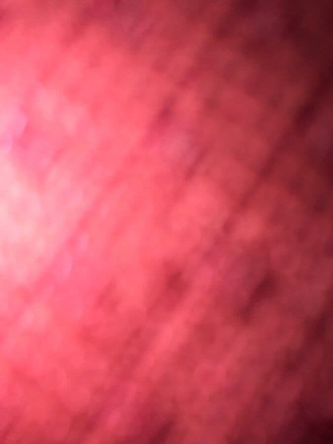 Coccineorchis