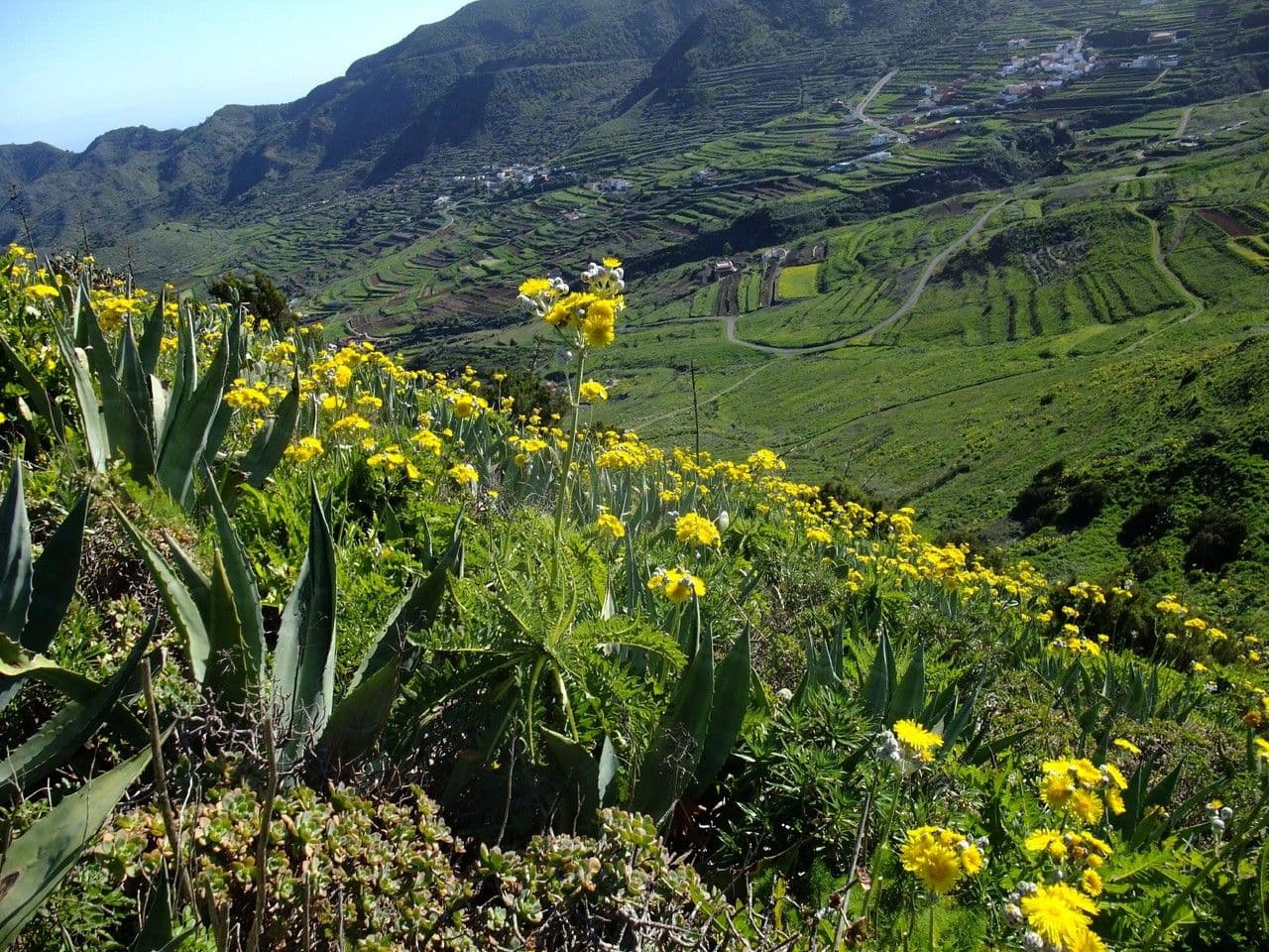 Cerrajón 10