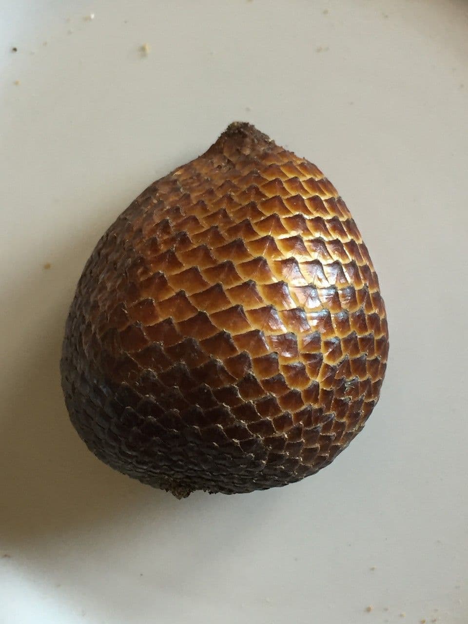 Salak 16