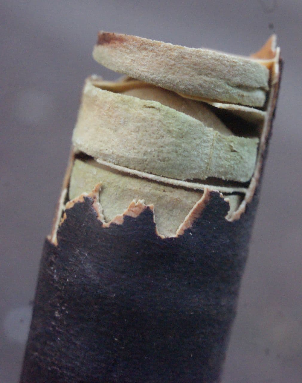 Cassia de Java 5