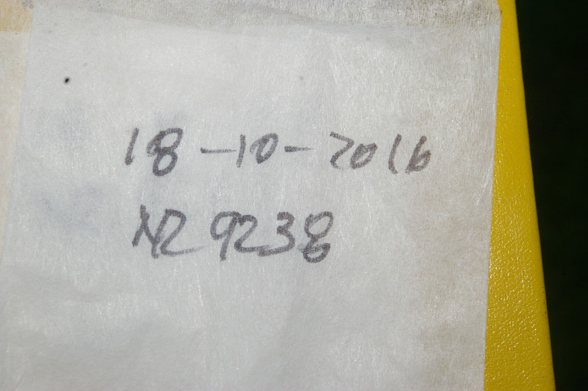 Coccocypselum 21