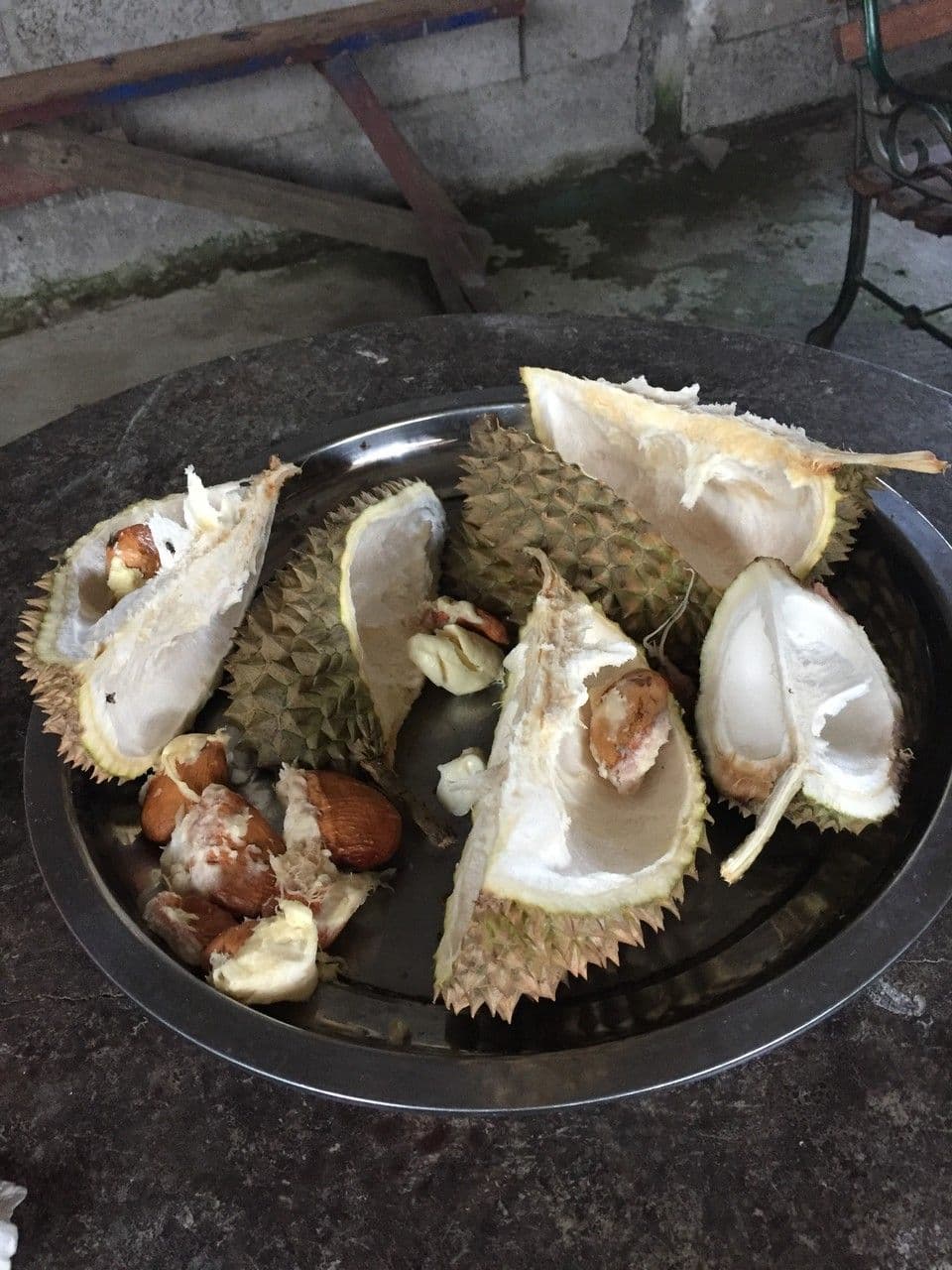 Durian 22