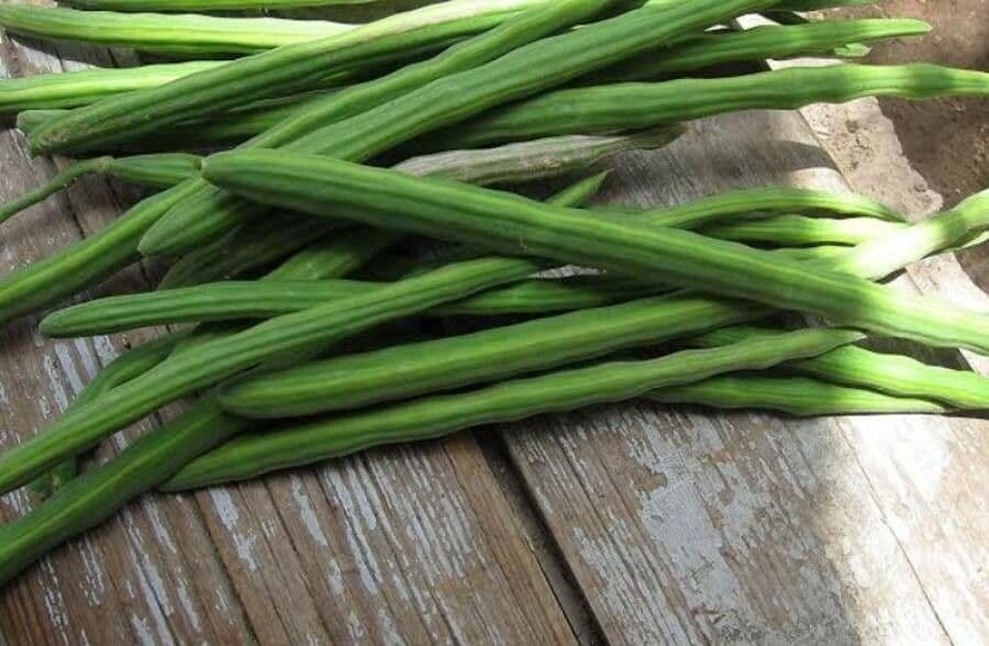 Moringa