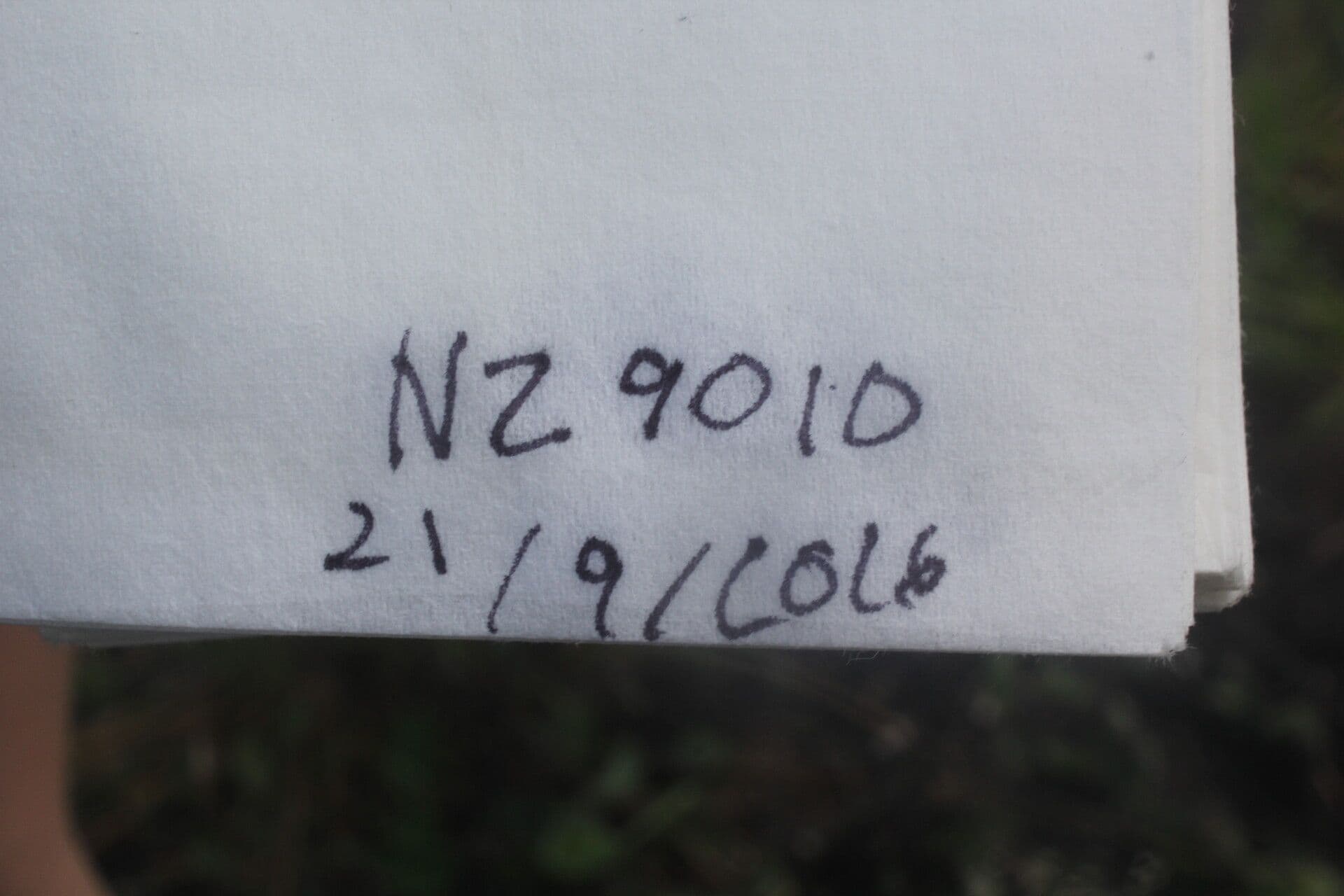 Aeschynomene sensitiva 18
