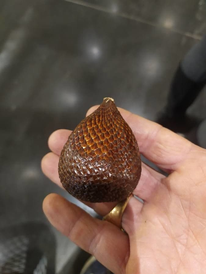 Salak 3