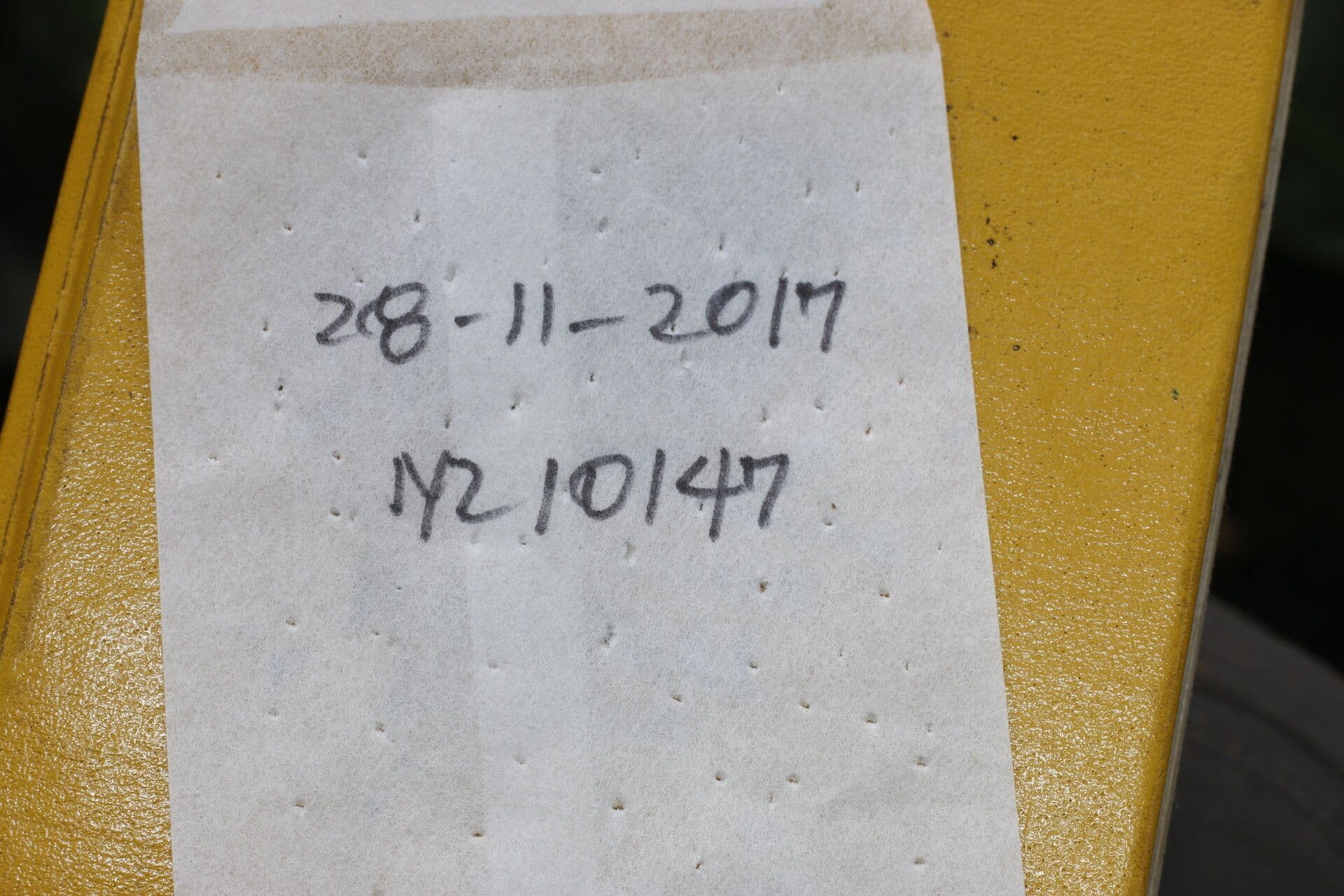 Amyris 24