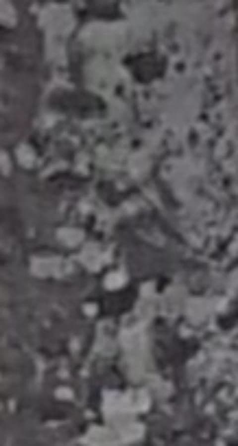 Buckinghamia 14