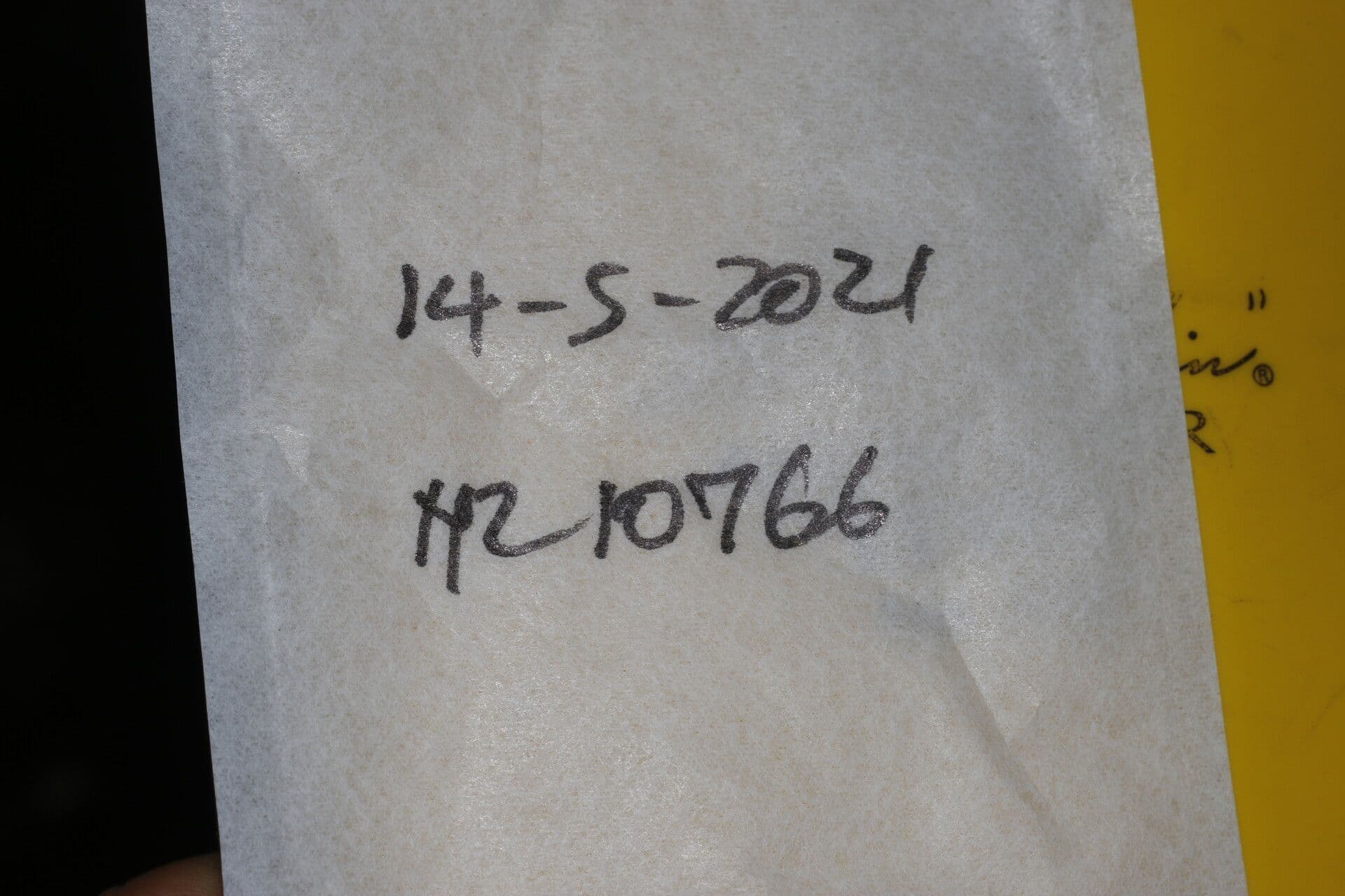 Gyrocarpus 16
