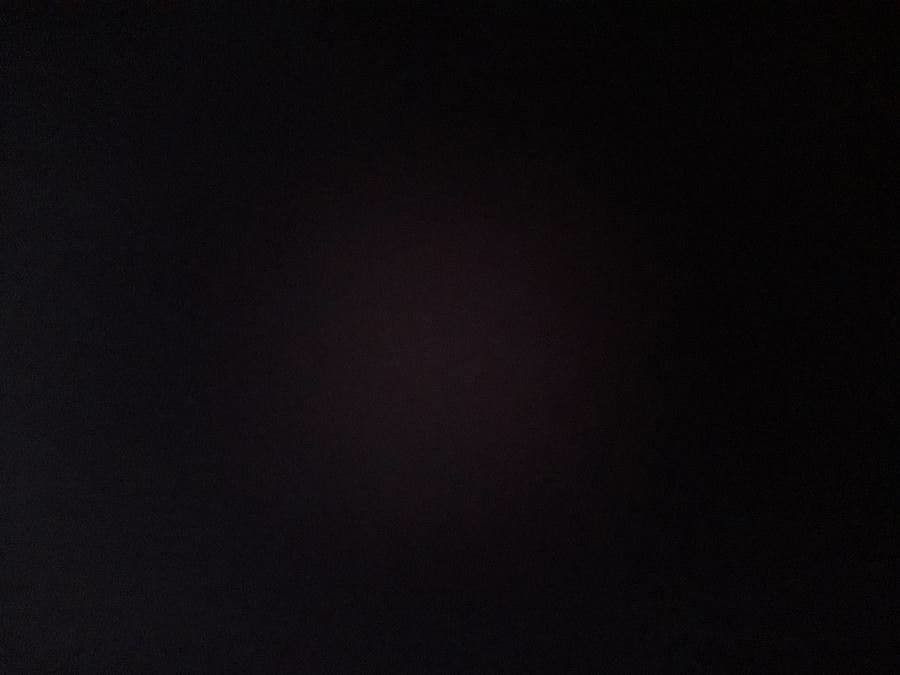 Lepechinia 3