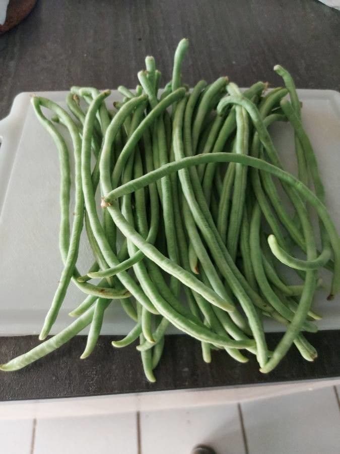 Cornille 4