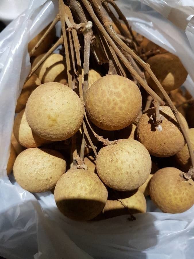 Longan 4