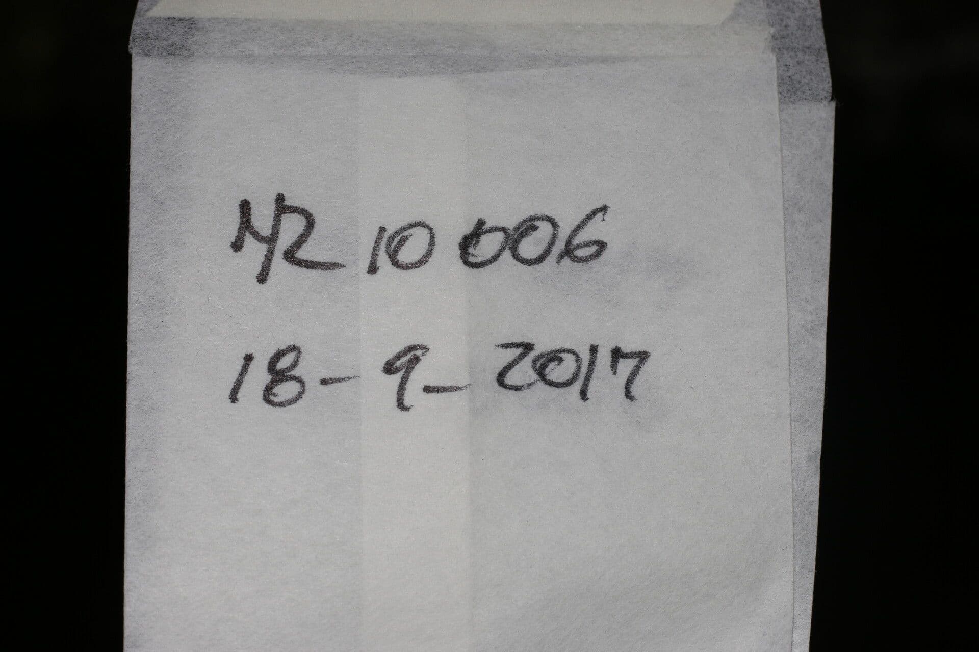 Spermacoce 10