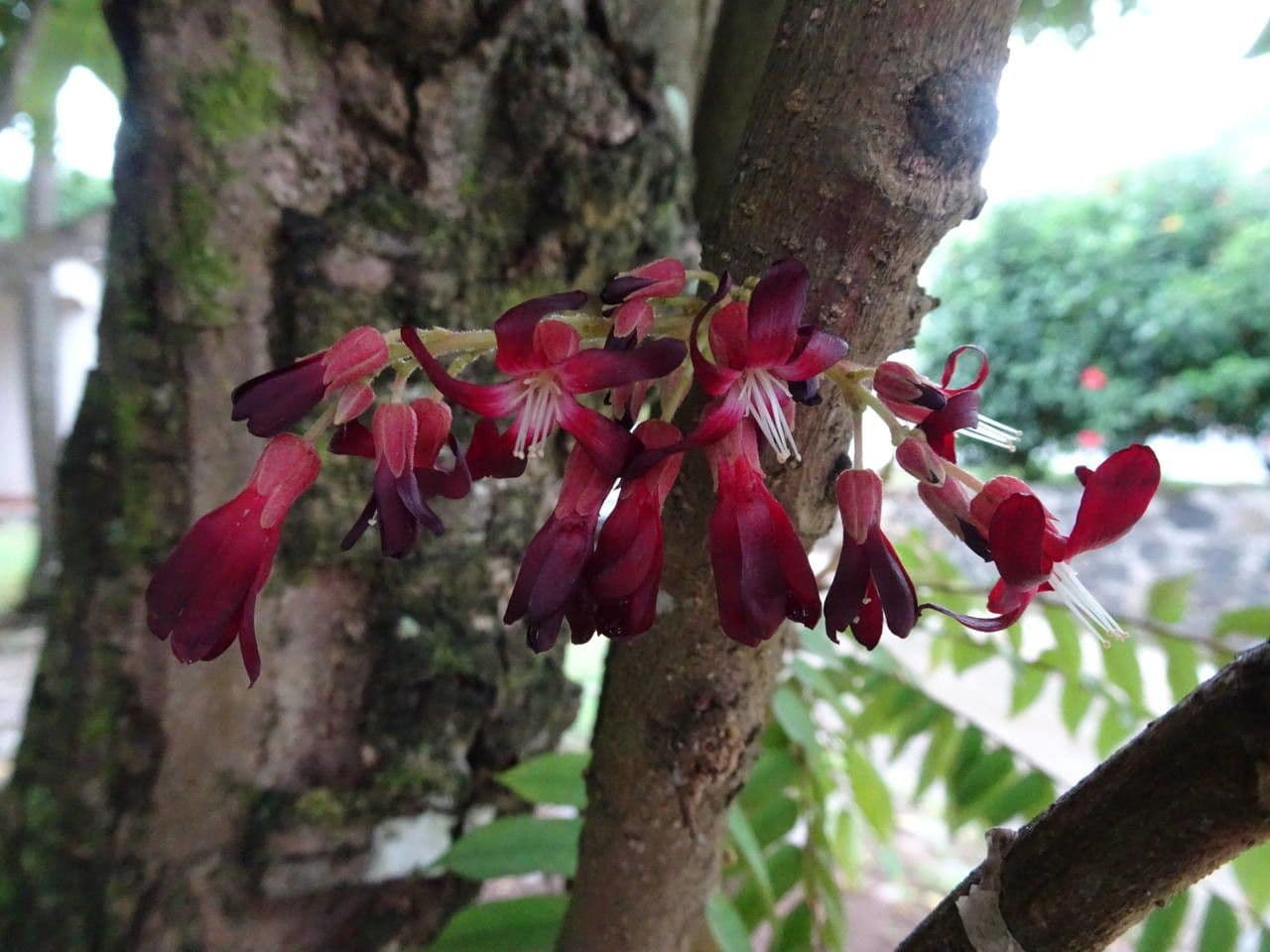 Bilimbi 24