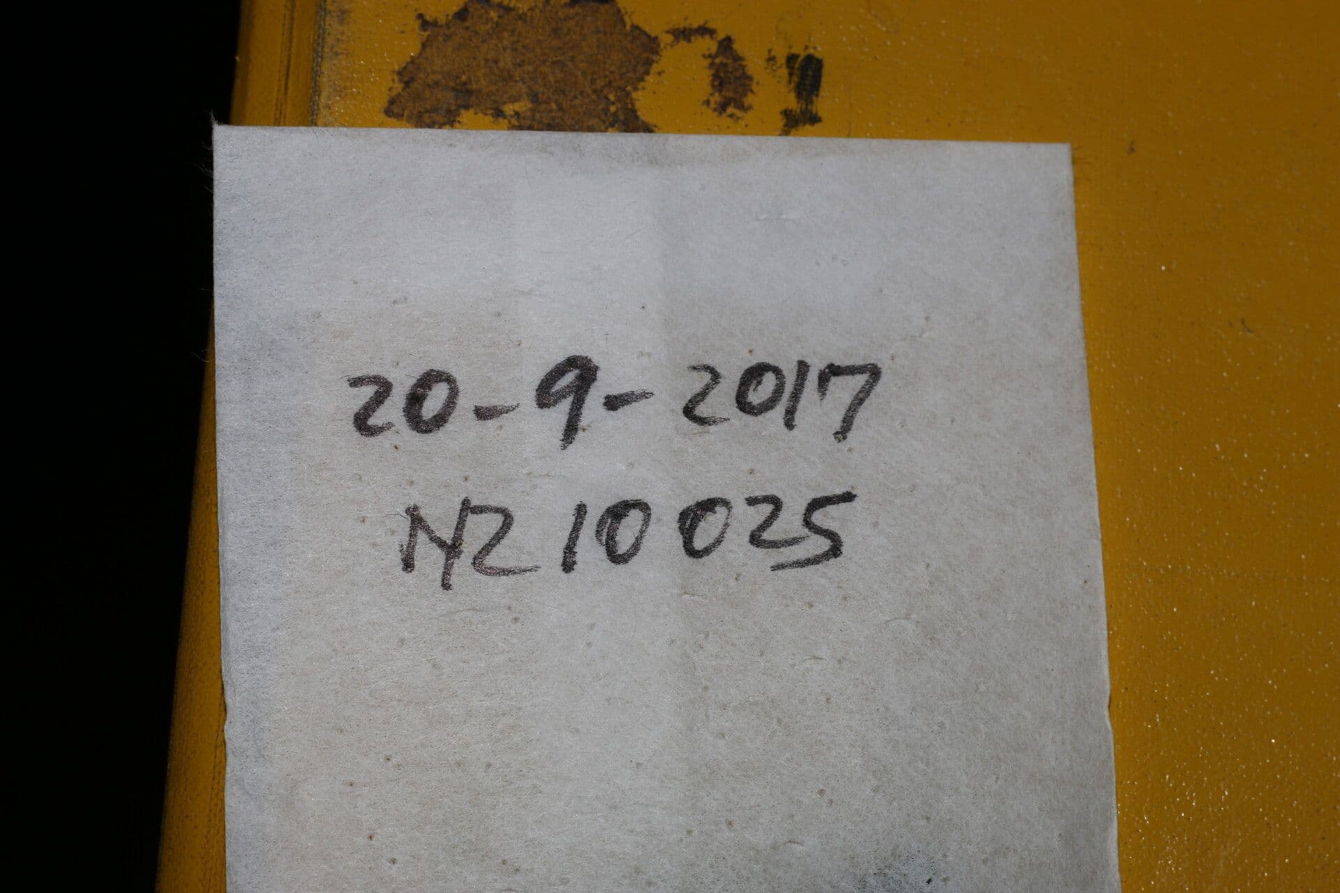 Eugenia 12