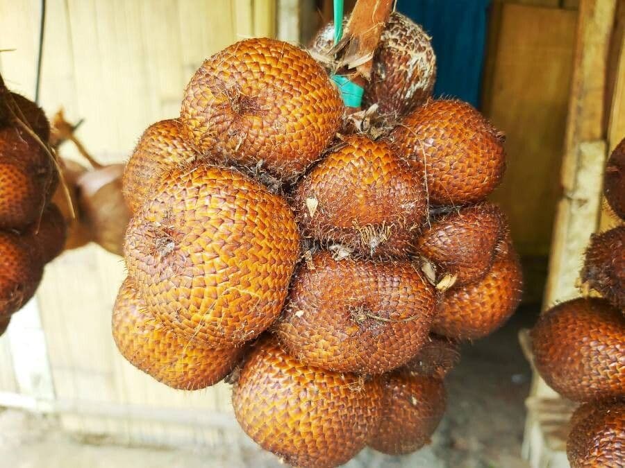 Salak