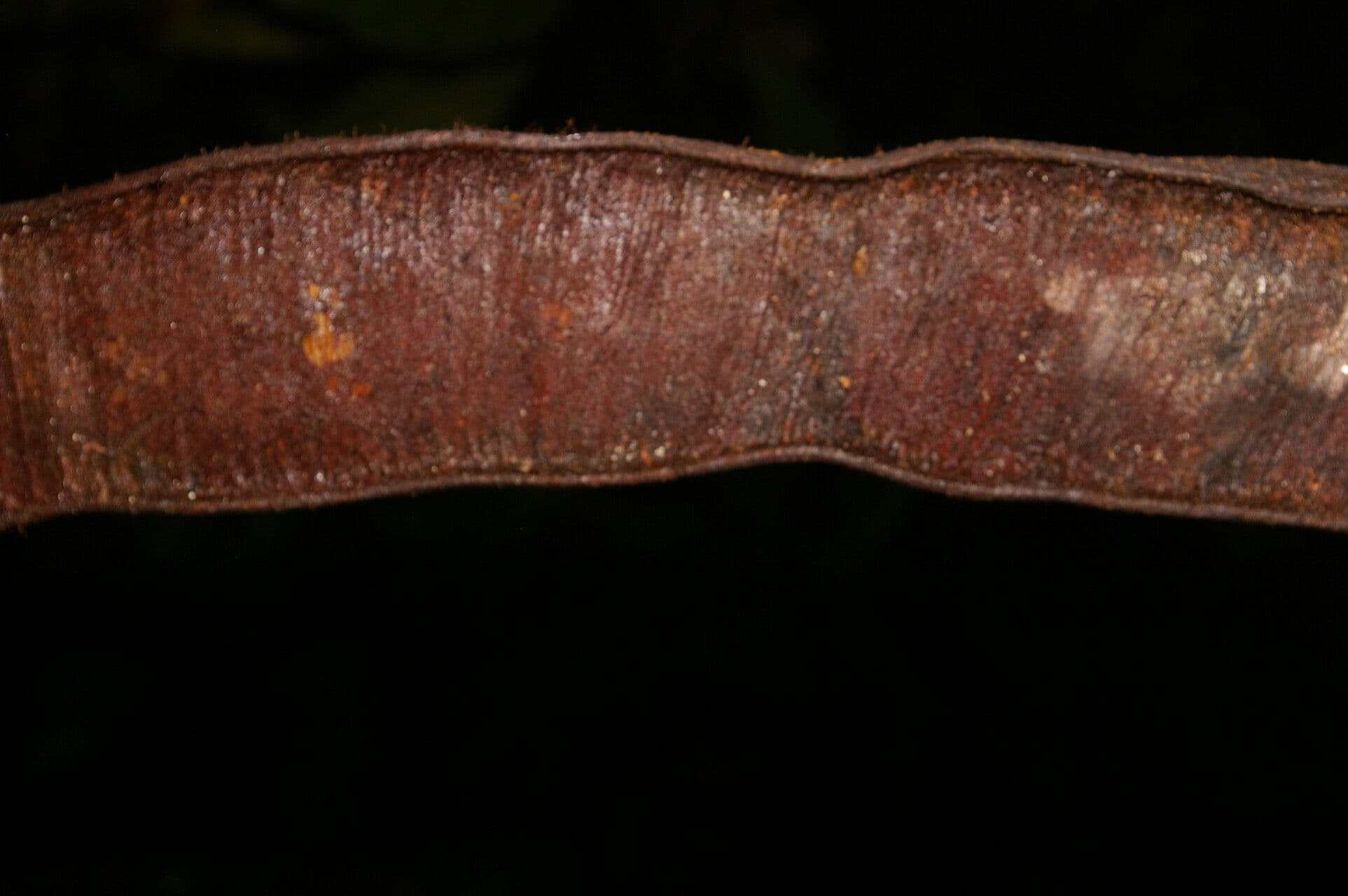 Inga 6