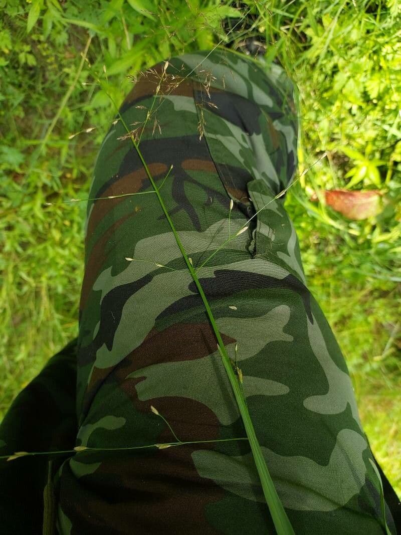 Sladinuška plávajúca 5