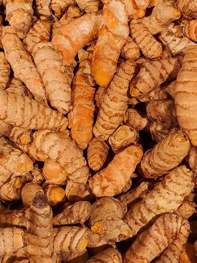 Curcuma 3