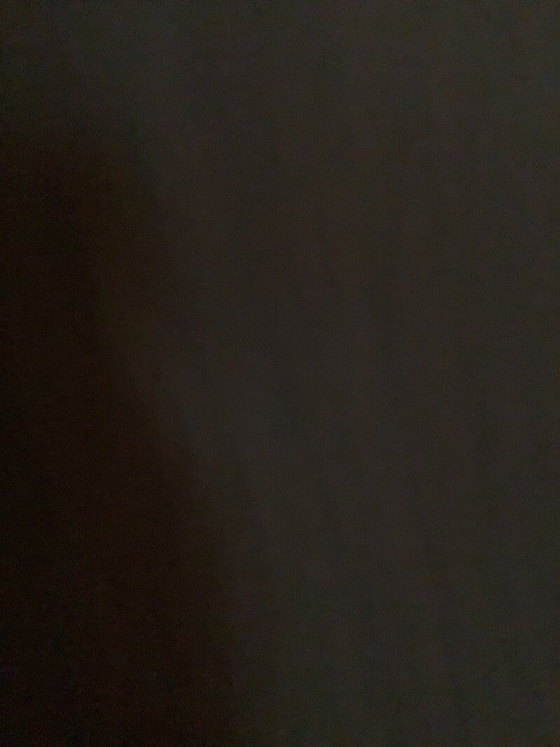 Lepechinia 2