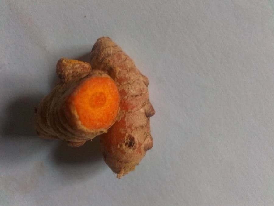 Curcuma 4