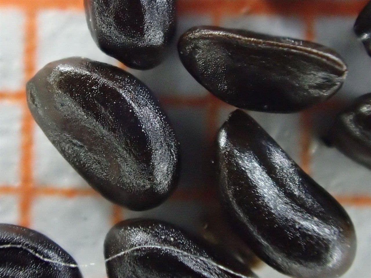 Botton d'oro 29