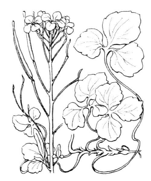 Karda m",
" 16
