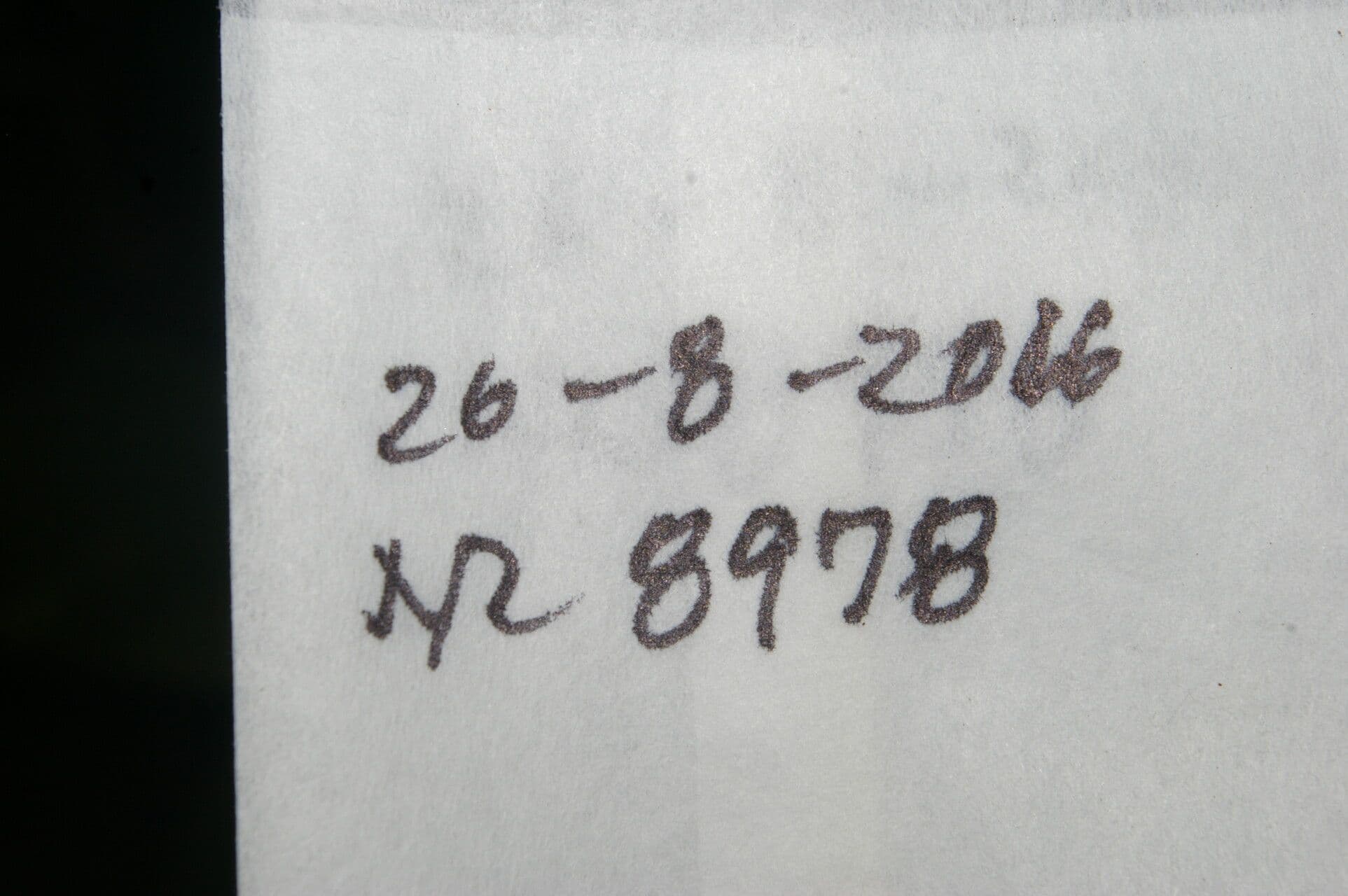 Renealmia 20