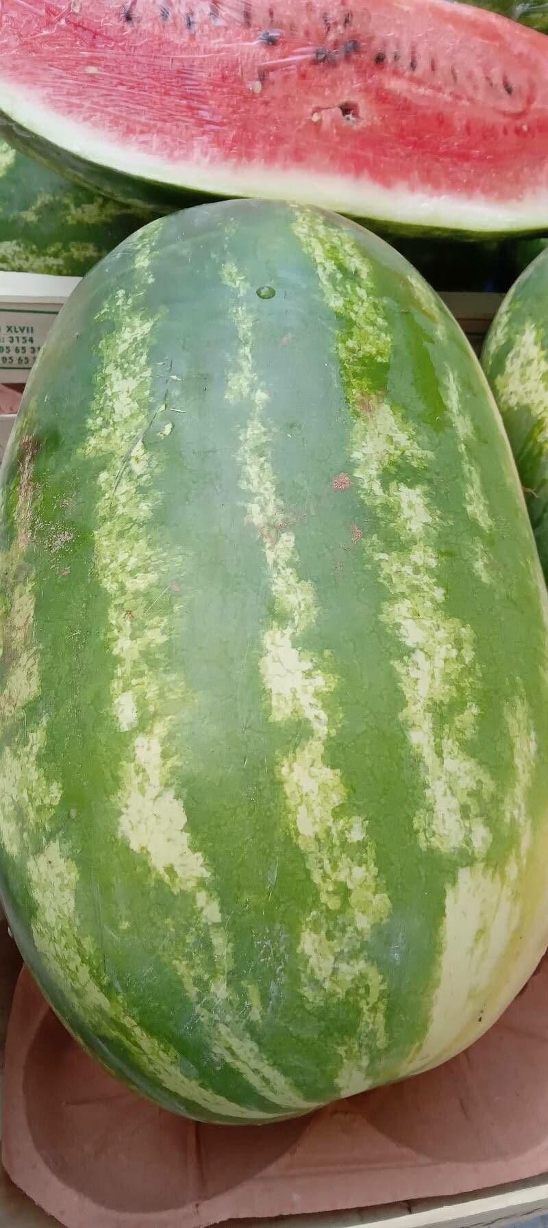 Anguria