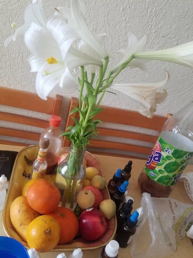 Giglio di Pasqua 20