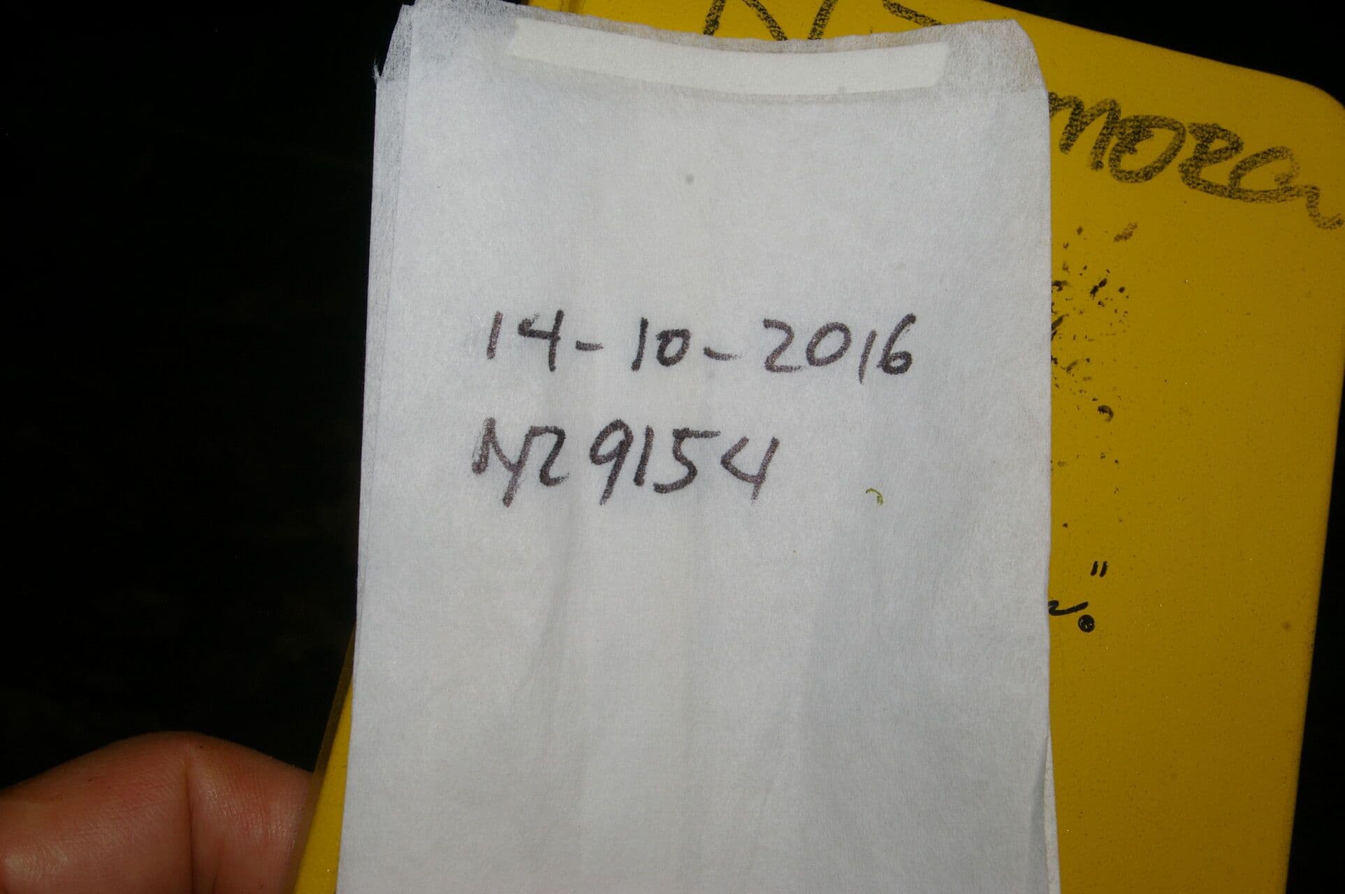 Alfaroa 16