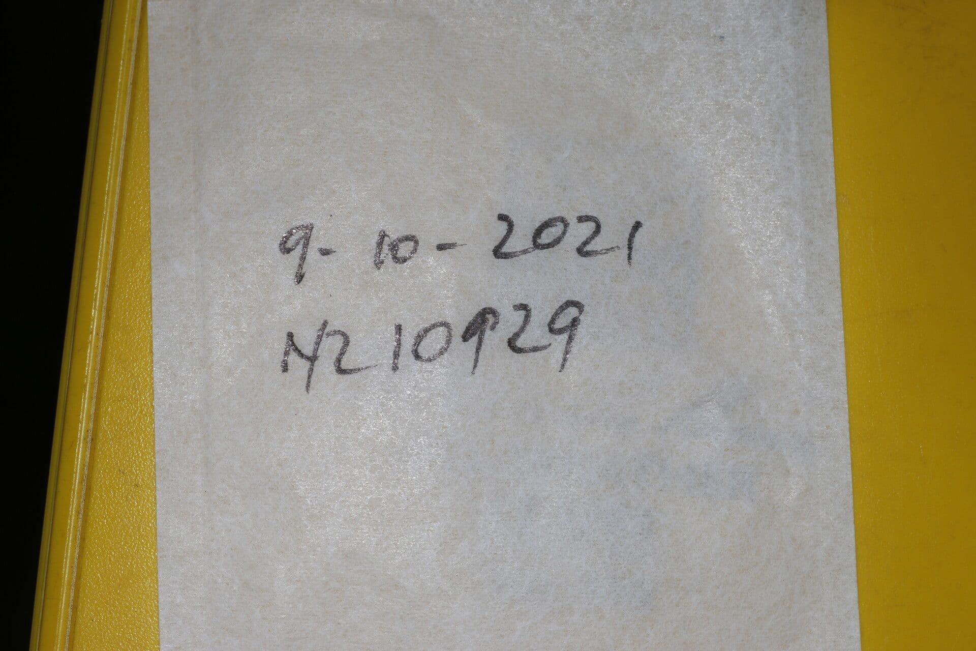 Hirtella guatemalense 6