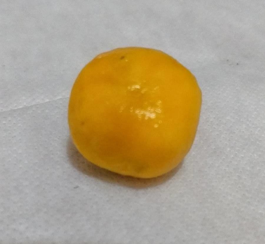 Eugenia 2