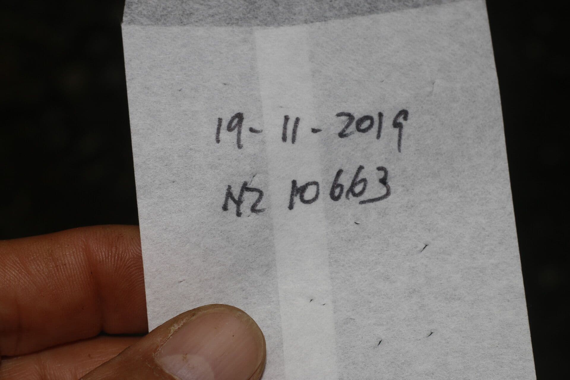 Štítník sagittalis 21