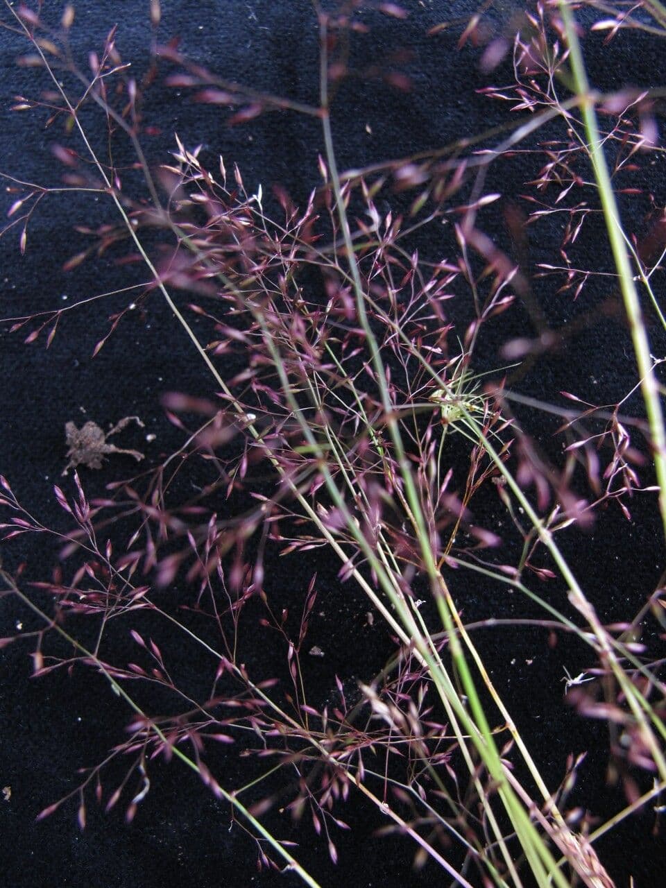 Sm else 5