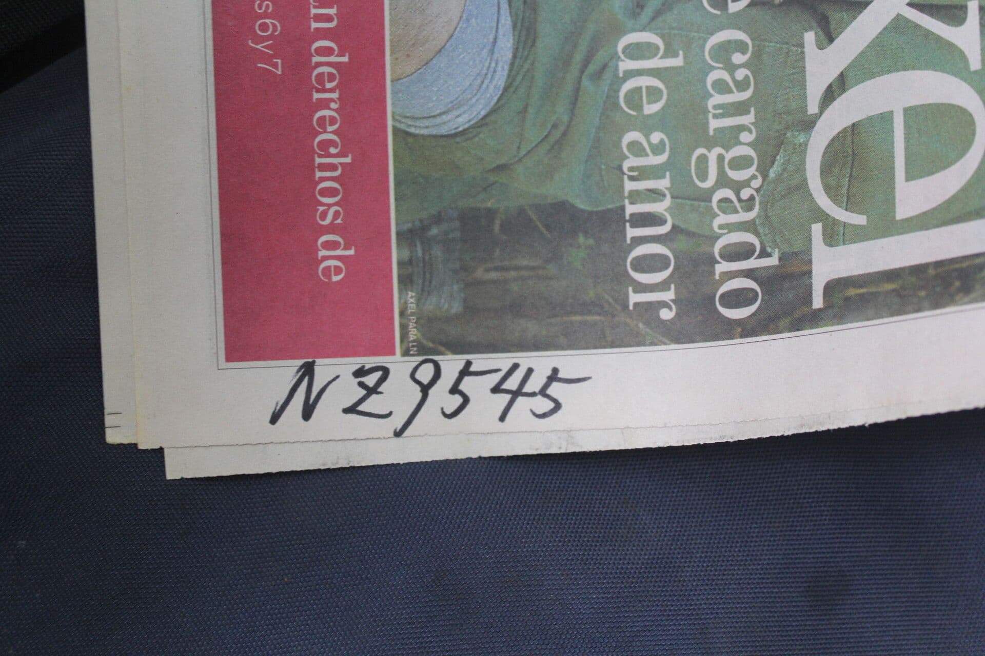Amphidasya 11