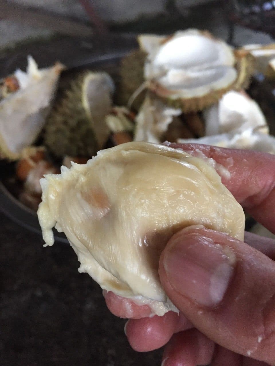 Durian 23