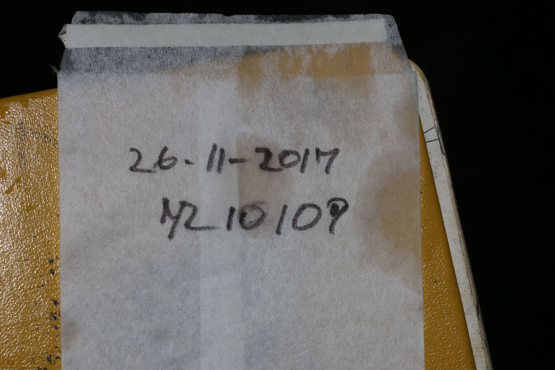 Parmentiera 22