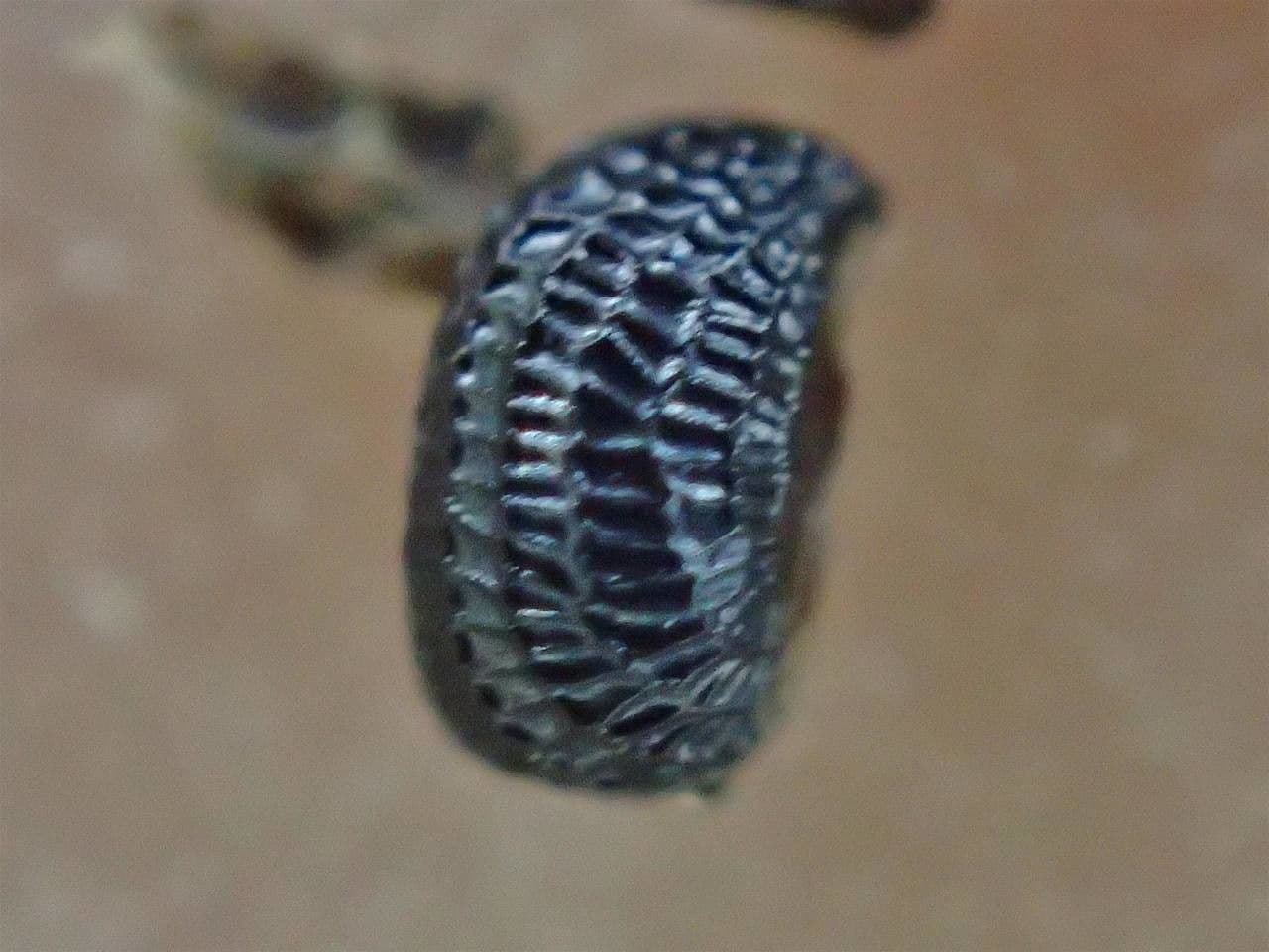 Glaucio 27