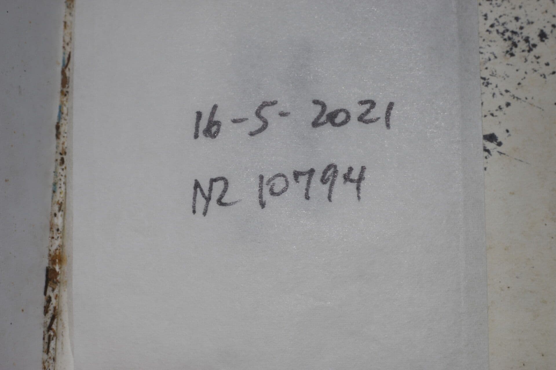 Thouinia 11