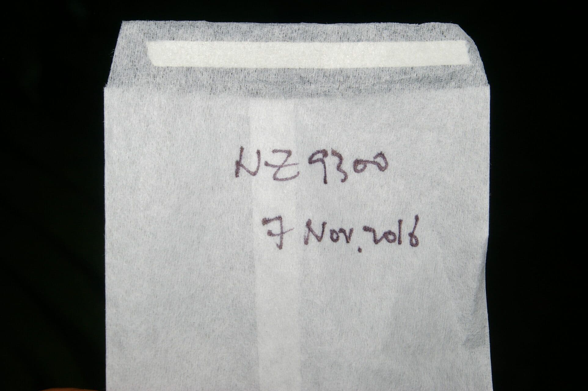 Chrysochlamys glauca 16